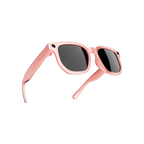 Ertechen AI Glasses